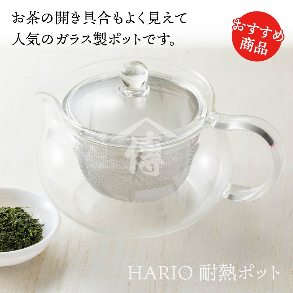 HARIO耐熱ポット 450ml