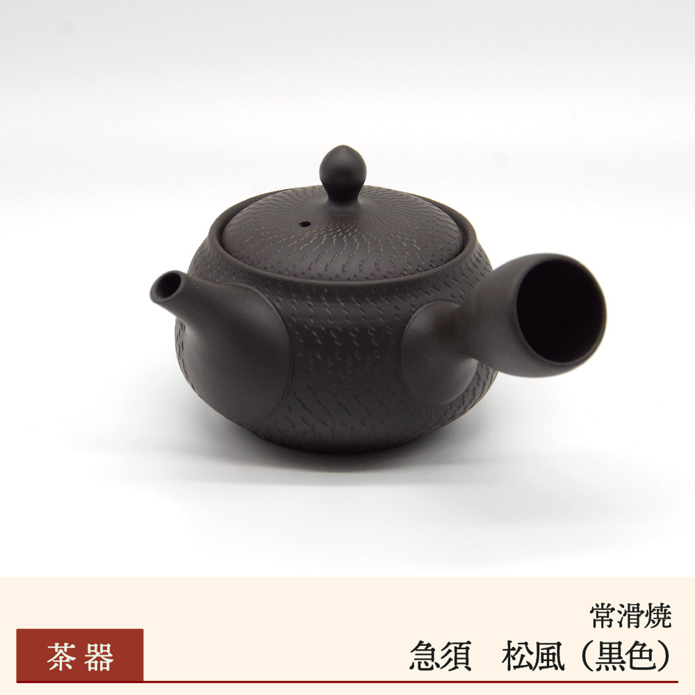 【常滑焼】急須 松風 黒
