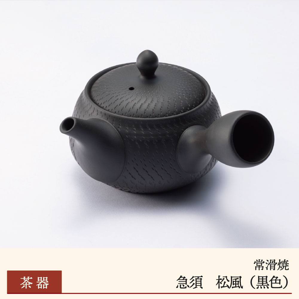 【常滑焼】急須 松風 黒