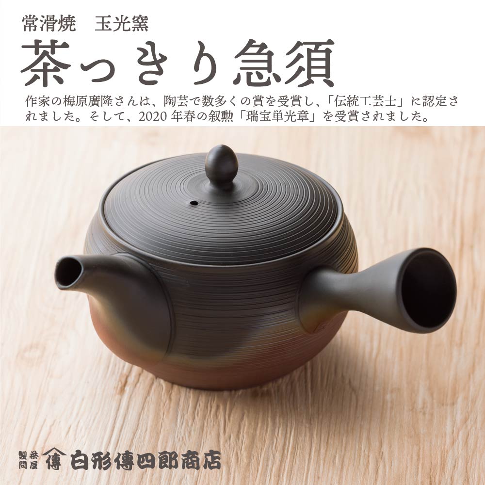 【常滑焼】茶っきり急須 玉光作
