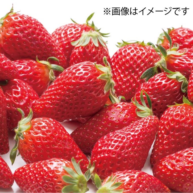 静岡産いちご「やよいひめ」【送料込】